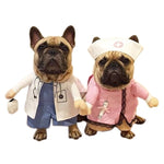 Funny Dogs Cat Costume